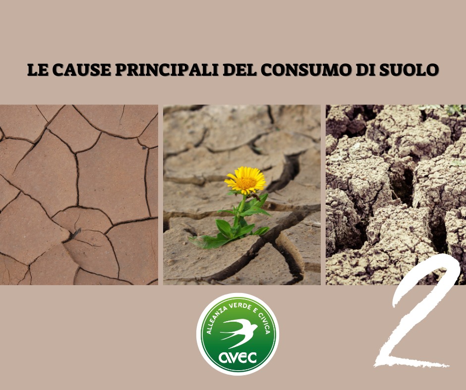 GIORNATA MONDIALE DEL SUOLO 2