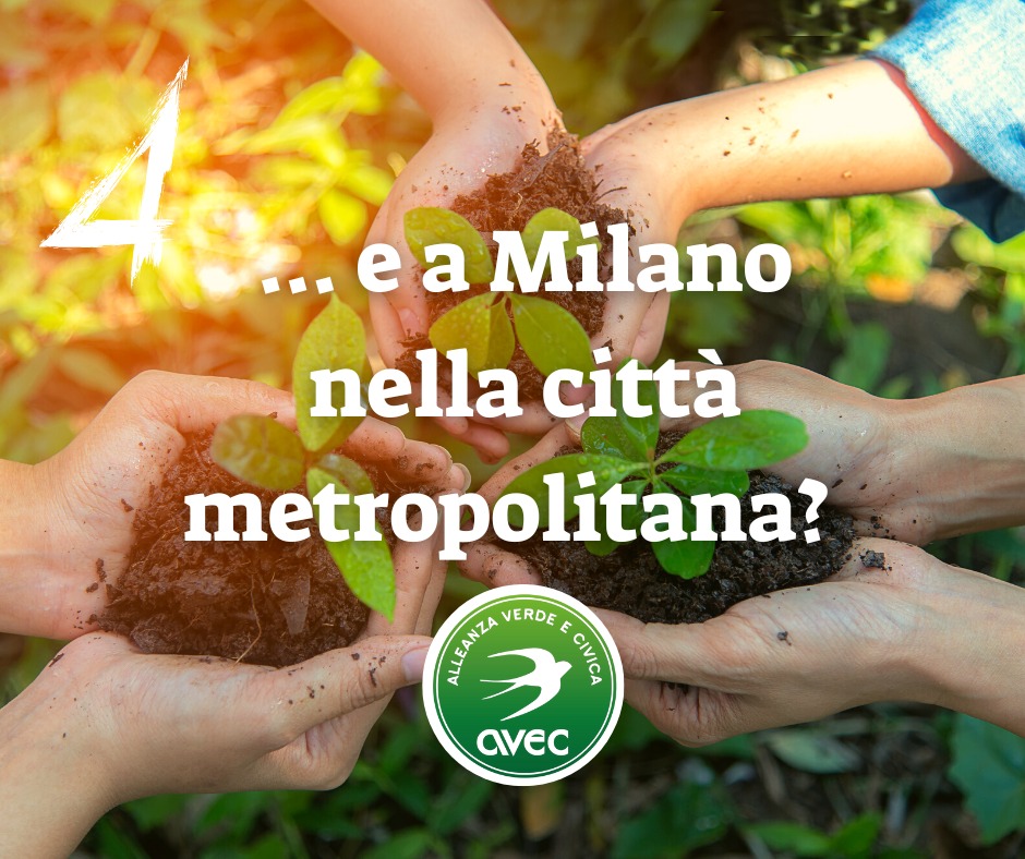 GIORNATA MONDIALE DEL SUOLO 4