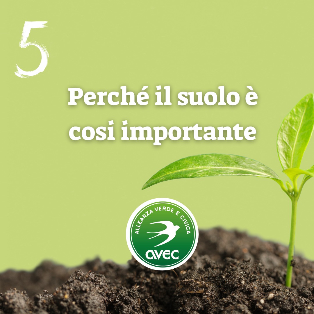GIORNATA MONDIALE DEL SUOLO 5