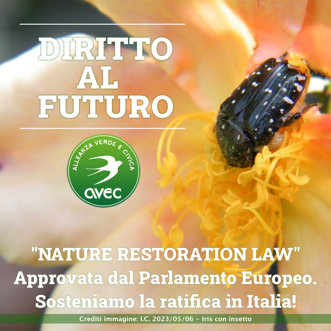 NatureRestorationLaw