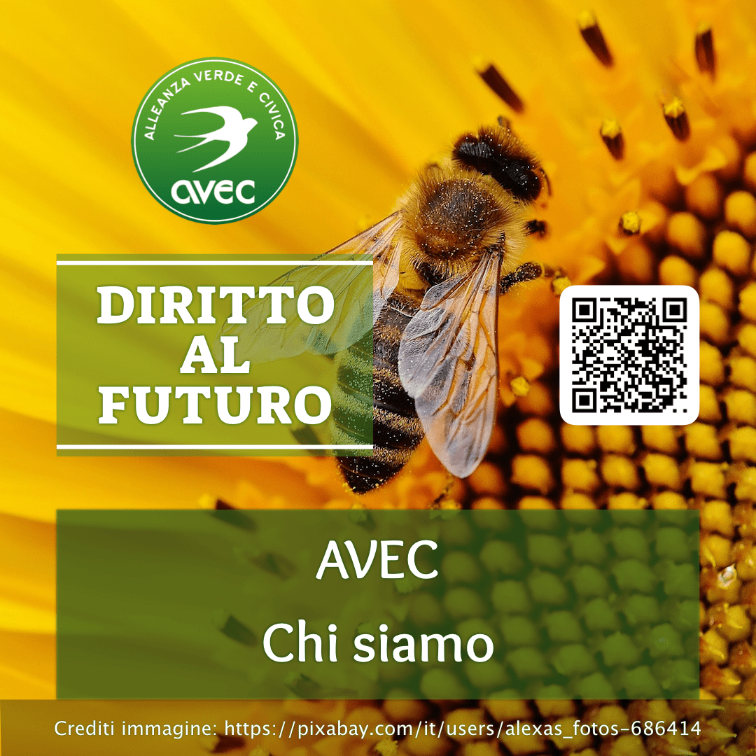 AVEC - Chi Siamo