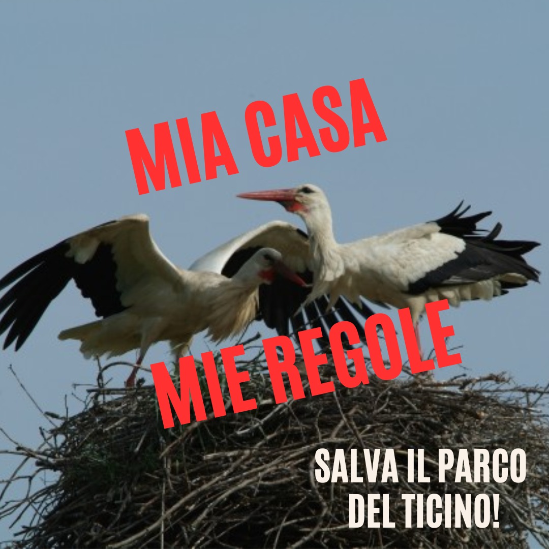 Area Cargo Malpensa